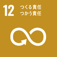SDGs_icon-12