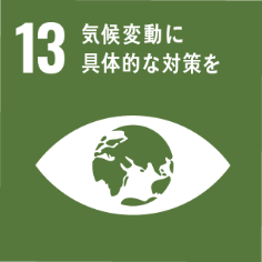 SDGs_icon-13